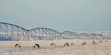 A structure uniting four melioration departments will be created in the Volga region