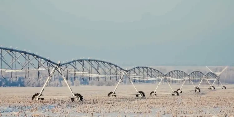 A structure uniting four melioration departments will be created in the Volga region