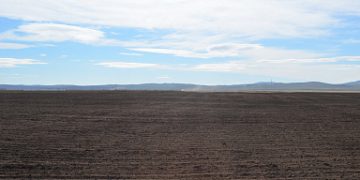 Agrarians of Transbaikalia increased the work on fertilizing the soil by 10%