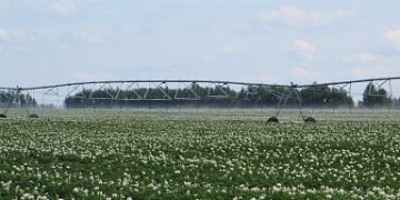 More than 100 million rubles were allocated to Lipetsk agricultural enterprises this year for the development of the reclamation complex