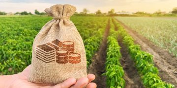 The number of recipients of grants and subsidies in the agro-industrial complex has been increased