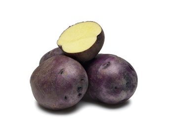 With its signature purple skin, yellow flesh, and small size, the Huckleberry Gold potato, co-developed by ARS, is gaining popularity with consumers and niche markets alike. (Photo courtesy of PVMI.org)