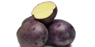 Striking (Huckleberry) Gold