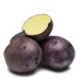 With its signature purple skin, yellow flesh, and small size, the Huckleberry Gold potato, co-developed by ARS, is gaining popularity with consumers and niche markets alike. (Photo courtesy of PVMI.org)