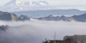 NZ growers oppose emissions levy