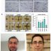 A portion of figure 4 from the authors' study, depicting protease and motility inhibition and cell morphology effects of M6 potato protein on Pectobacterium brasiliense Pb1692 (top), plus two of the study's authors: first author Dr. Janak R. Joshi (bottom left) and corresponding author Dr. Adam L. Heuberger (bottom right). Credit: Janak R. Joshi, Kitty Brown, Amy O. Charkowski, and Adam L. Heuberger