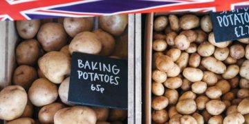 The New UK Potato Price Trend