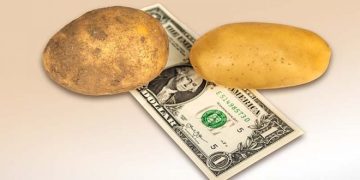 Potato Prices are Going Up Worldwide