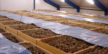 Dataproject must prevent the illegal use of seed material