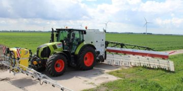 Possibility of electrical destruction of leaves in the cultivation of potatoes and bulbs of ornamental crops