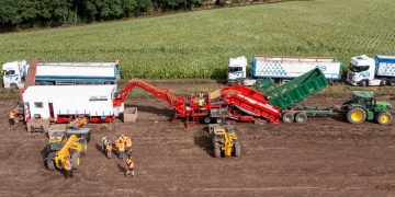 Haith to focus on optical sorting at Fruit Logistica