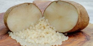 Podcast: ‘Making new plastic from potato starch’