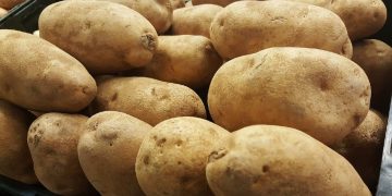 Retailers get a jump on planning with IPC potato category reports