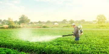 Potato Fungicide Approved by the Canadian Government