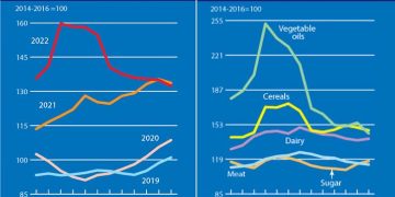 The FAO Food Price Index continued to drop in December 2022