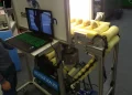 A new machine for sorting potatoes was shown at an exhibition in Belarus