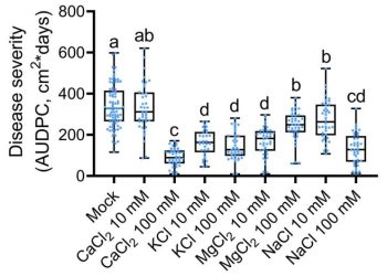 Elements promote tomato resistance to Botrytis cinerea. Solanum lycopersicum ‘Ram’ plants were sprayed twice (at day 0 and day 7) with a solution of each salt in concentrations as indicated (15 ml/plant). Plants were inoculated with B. cinerea conidia (106/ml) 3 days after the second treatment. Disease was monitored for 7 days and area under the disease progression curve was calculated. Minimum to maximum values of six independent experiments are presented, N = 42. Box plots are shown with inner quartile ranges (box), outer quartile ranges (whiskers), and median (line in box), all points shown. Letters represent statistical significance in Welch's analysis of variance with a Dunnett post hoc test, P < 0.03.