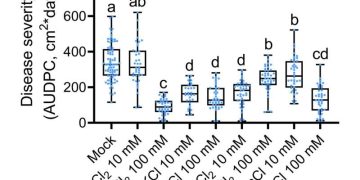Molecular mechanism behind nutrient element-induced plant disease resistance discovered