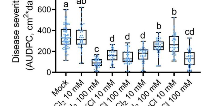 Elements promote tomato resistance to Botrytis cinerea. Solanum lycopersicum ‘Ram’ plants were sprayed twice (at day 0 and day 7) with a solution of each salt in concentrations as indicated (15 ml/plant). Plants were inoculated with B. cinerea conidia (106/ml) 3 days after the second treatment. Disease was monitored for 7 days and area under the disease progression curve was calculated. Minimum to maximum values of six independent experiments are presented, N = 42. Box plots are shown with inner quartile ranges (box), outer quartile ranges (whiskers), and median (line in box), all points shown. Letters represent statistical significance in Welch's analysis of variance with a Dunnett post hoc test, P < 0.03.