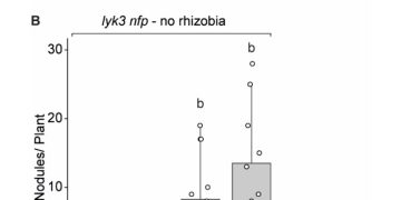 Novel strategy for engineering root nodule symbiosis into important crops for more sustainable agri-food systems