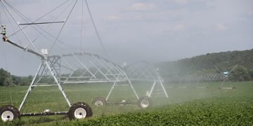 The development of melioration is a key priority of the agrarian policy of Dagestan