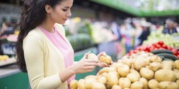 The French Potato Yield at Its Lowest in Over 25 Years