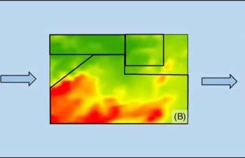 Schematic representation of (A) an aerial image using an unmanned aerial vehicle (UAV) to scout fields in year 1, (B) detection of areas of high (orange) and low (yellow) weed density in year 1, and (C) implementation of year 1 weed maps to calibrate precision planter to plant in high (red) and low (green) crop densities in year 2. Credit: Weed Science (2022).