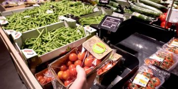 BASF and StePac want to extend the shelf life of potatoes and vegetables with new packaging