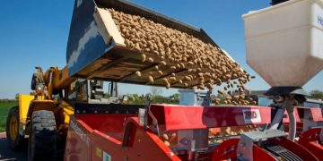 Relatively many seed potatoes were shipped to Asia