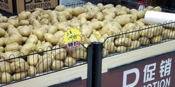 China a potentially big export market for potatoes from Pakistan