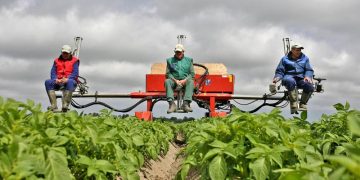 More margin needed to grow seeds profitably