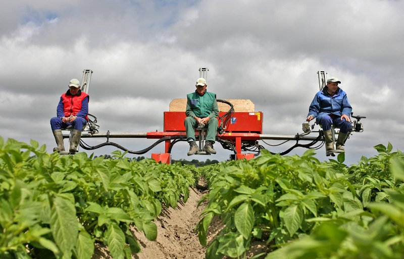 Se necesita más margen para cultivar semillas de manera rentable