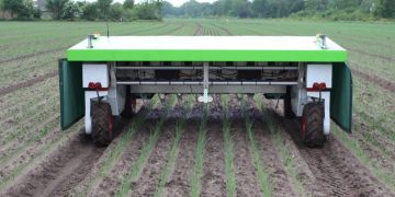 Definition of algorithms for sustainable cultivation