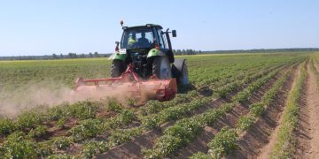 In the Tver region, new measures to support enterprises of the agro-industrial complex