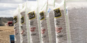 ‘Green chips’: McCain invests further £35m in sustainable farming in the UK