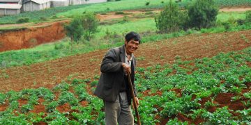 Navigating Challenges and Seizing Opportunities: A Look into Potato Company HZPC China