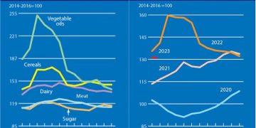 FAO Food Price Index continues to decline in January 2023