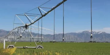 Nanotech fertilizer of the future developed in the USA