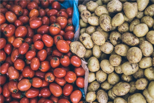 La producción agrícola en Chuvashia por primera vez superó los 100 mil millones de rublos