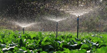 The Modern-Day Bhagirath of Rayagada’s Kusumguda