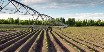 State subsidies for land reclamation activities increased by 27% in 2022