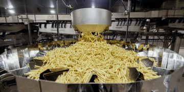 The Impact of Smoke Exposure on Potato Production: A Study by the University of Idaho and Boise State University