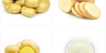 The Power of Potato Protein: A New Hope for Plant-Based Protein Revolution