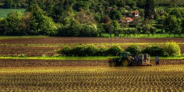 Coping with Drought: Crop Switching as a Strategy for Farmers in East Anglia, UK