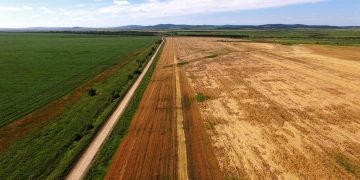 Boosting Vegetable Crop Yields in the Far East Region: New Technology and Machinery