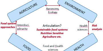A Fresh Approach to Tackle Agricultural Problems