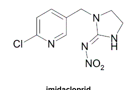 The Mighty Potato: A Versatile and Nutritious Crop for Sustainable Agriculture
