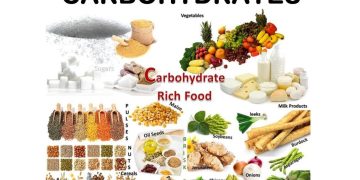 Russia’s Potential to Lead Global Food Security with its Abundant Natural Resources.