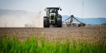 Agrarians of Tatarstan received 1.5 billion rubles from the RSHB for field work