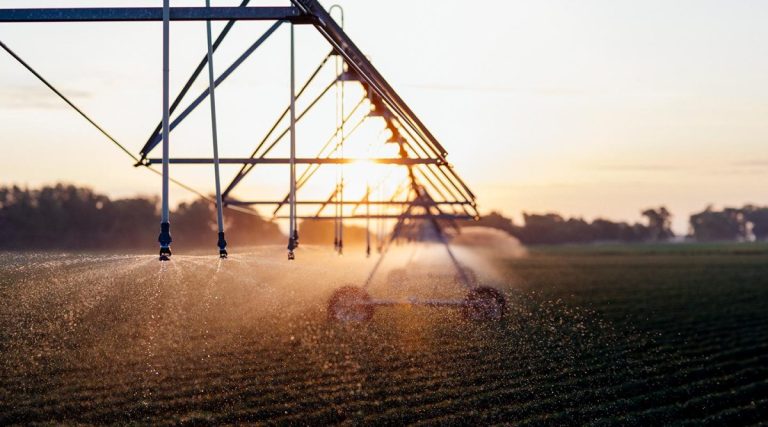 Ịkwalite mmepụta ihe ubi nduku site na ịgba mmiri sprinkler: Ngwọta na-ekwe nkwa 11 Ịkwalite mmepụta ihe ubi nduku na ogbugba mmiri sprinkler: Ngwọta na-ekwe nkwa